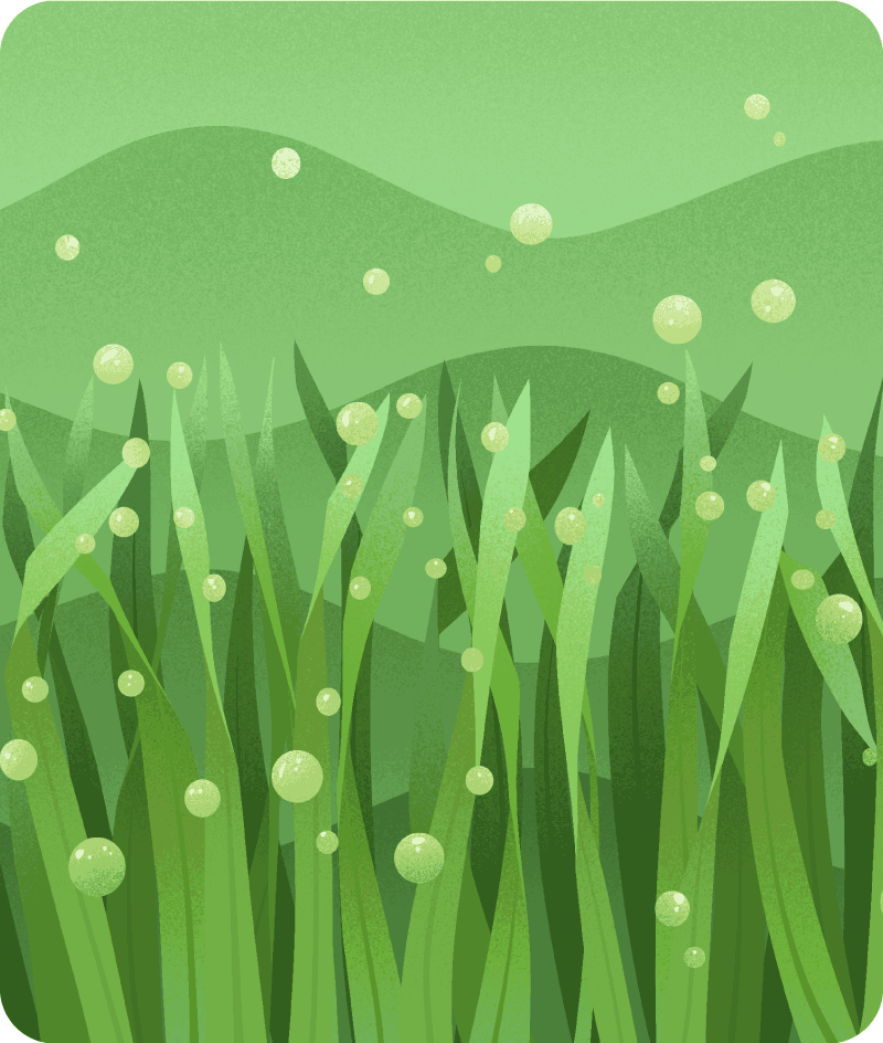 Refreshing greens